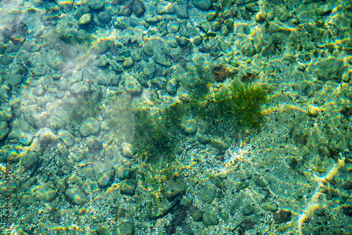 le fond du lac Léman, plein cadre photo