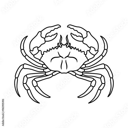 Crabs line art vector illustration. Seafood crab in outline for icon, logo, symbol .