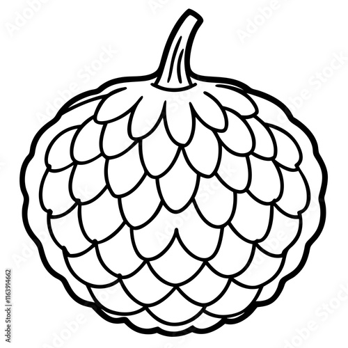 Balsam Apple Vector Artwork