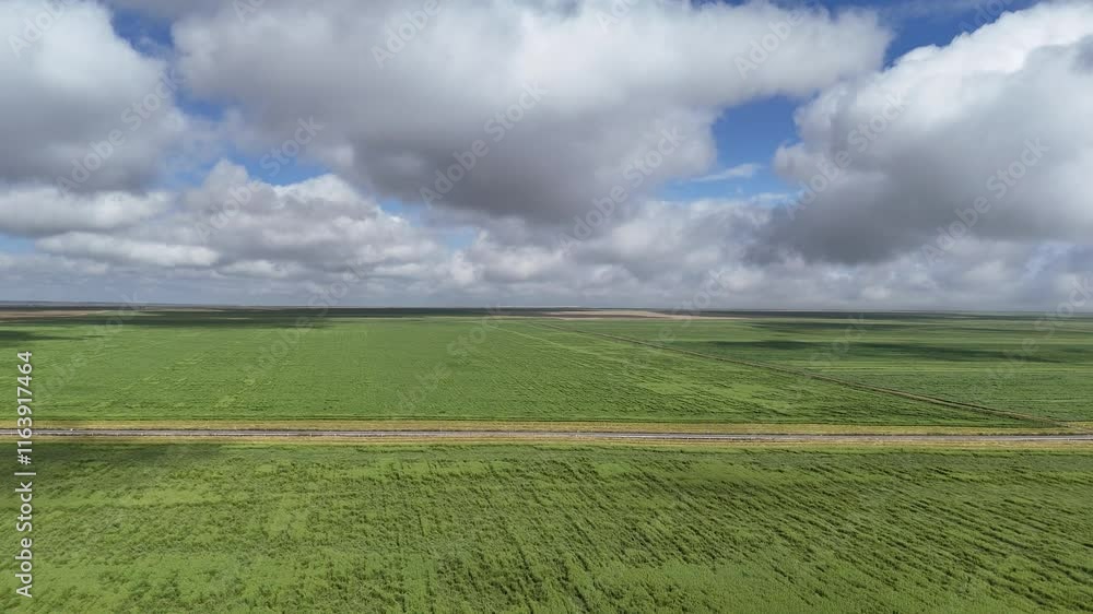 Explore Gansu Zhangye Shandan Horse Farm's vast oat grass fields through breathtaking aerial views at midday Explore Gansu Zhangye Shandan Horse Farm's vast oat grass fields through breathtaking aerial views at midday