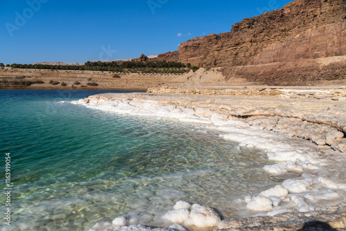 Obraz na płótnie Dead Sea, Jordan: View of the salty shores of the dead sea in Jordan, the lowest point on earth. w salonie