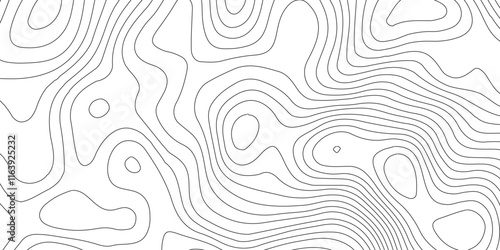 Abstract Blank Detailed Topographic Contour Map Subtle White Vector Background, Topography map art curve drawing. geographic contour map paper texture,paper texture Imitation of a geographical map sha