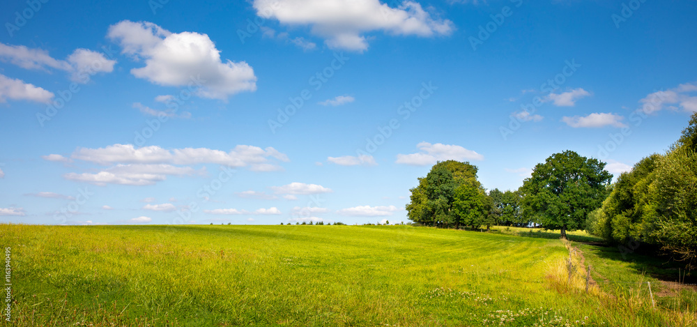 Obraz premium Paysage de campagne au milieu de la verdure des champs au printemps sous le soleil et le ciel bleu.