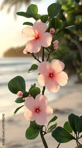 Beach Sunset Hibiscus Flowers 3D Render photo