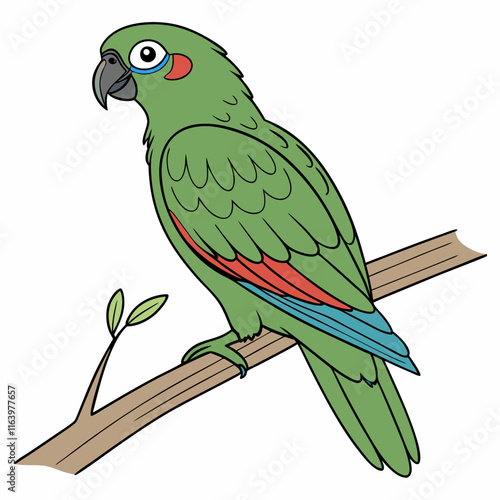 green parrot on a branch