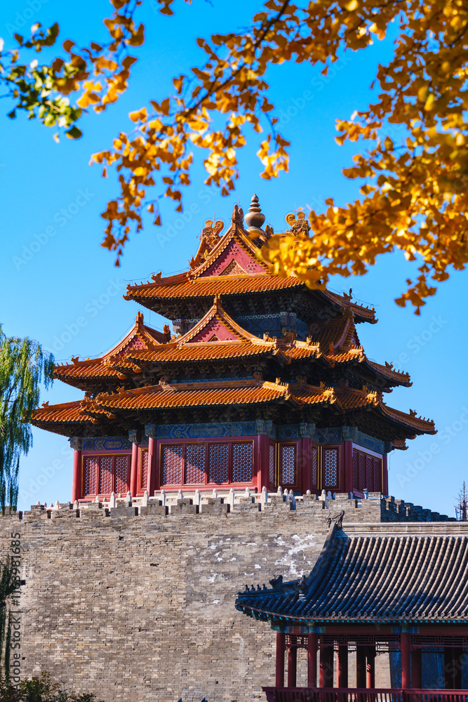 Overlooking Watch Tower of the Forbidden City and yellow ginkgo leaves under blue sky in sunlight in Autumn Overlooking Watch Tower of the Forbidden City and yellow ginkgo leaves under blue sky in sunlight in Autumn