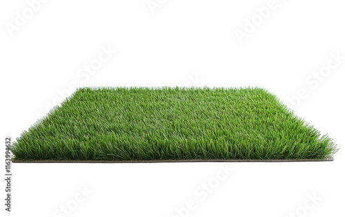 Artificial grass rug on transparent or white background,png