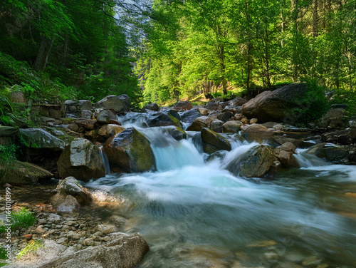 Serene forest stream flows over smooth rocks, sunlight dappling through lush green canopy.  Water cascades gently, creating a peaceful, natural scene.