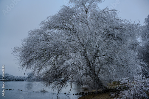 Ein kalter Wintertag an der niederbayerischen Donau photo