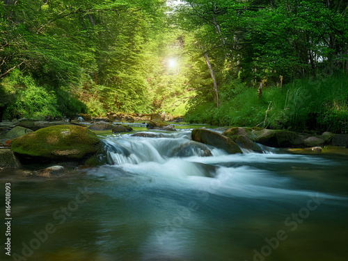 Serene forest stream flows over moss-covered rocks, sunlight filtering through lush green canopy.  Peaceful nature scene evokes tranquility and the beauty of wilderness.
