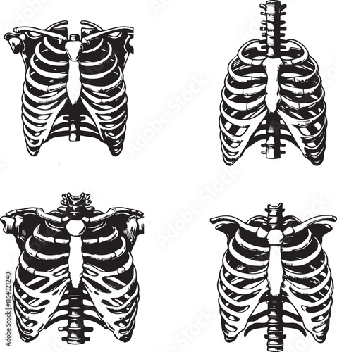 Set of Black and white chest bone. T-shirt print for Horror or Halloween. Hand drawing illustration