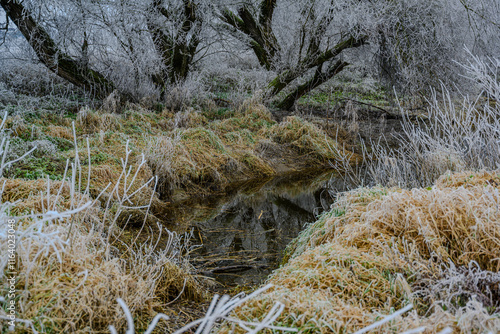 Ein kalter Wintertag an der niederbayerischen Donau photo