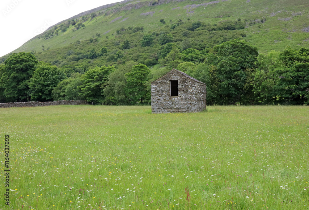 Stone barn in a wildflower meadow, North Yorkshire England
Stone barn in a wildflower meadow, North Yorkshire England
