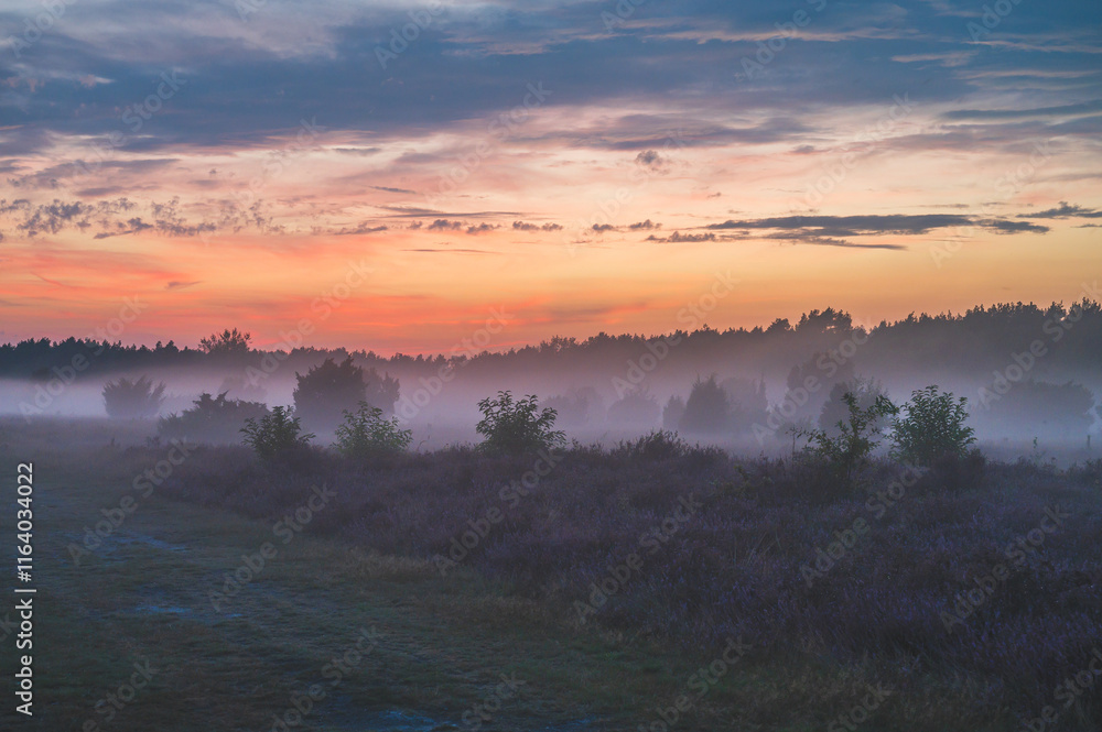 Fototapeta premium Celle, 02.01.2025