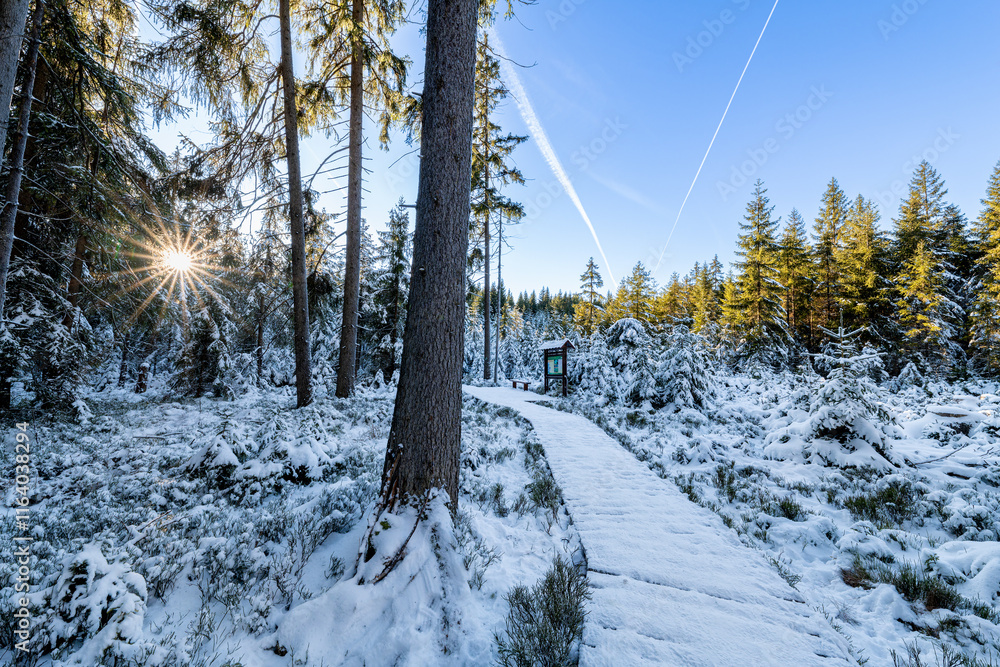 Snow winter - Preserved natural area Kladska near small west bohemian spa town Marianske Lazne (Marienbad) - Czech Republic, Europe
