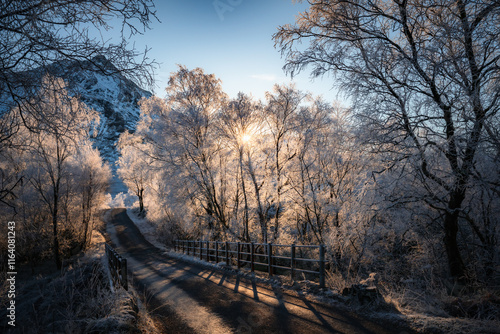 Glen Etive Road