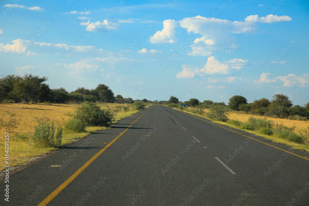 The Trans-Kalahari Corridor is a paved highway corridor that provides a direct connection from the port of Walvis Bay and Windhoek in central Namibia. Endless long asphalt road. Namibia Africa. The Trans-Kalahari Corridor is a paved highway corridor that provides a direct connection from the port of Walvis Bay and Windhoek in central Namibia. Endless long asphalt road. Namibia Africa.