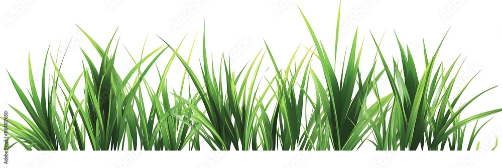 Fototapeta premium Green grass on a white background, earth day concept