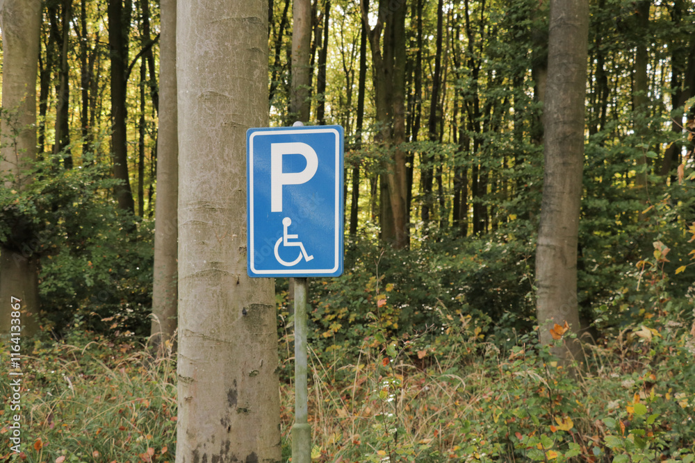 Parking sign for wheelchair users, disabled people with disability on a nature mountain forest background. 