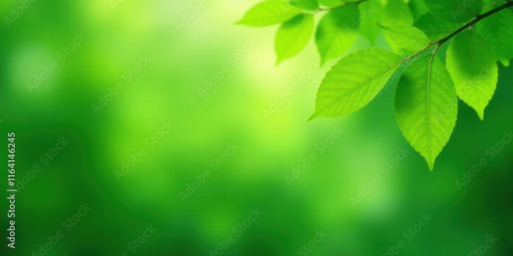 Vibrant Green Foliage Nature's Fresh Spring Leaves on Branch Against Soft Blurred Background Vibrant Green Foliage Nature's Fresh Spring Leaves on Branch Against Soft Blurred Background