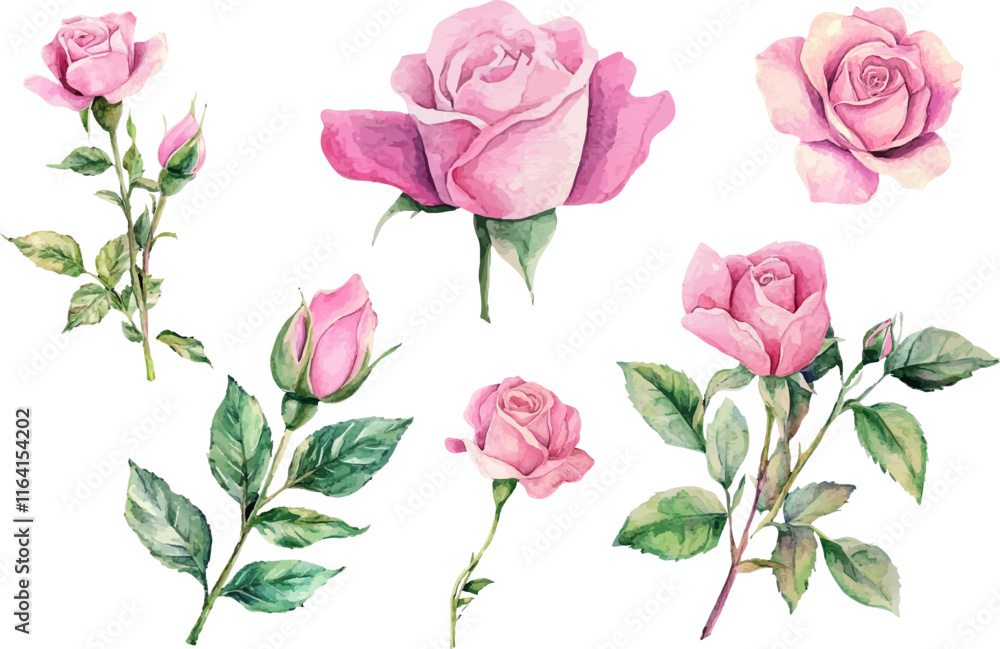 Fototapeta premium pattern with pink roses