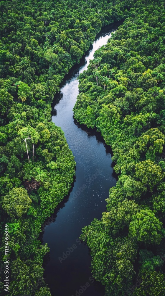 Majestic river flowing through lush forested valley during autumn season Majestic river flowing through lush forested valley during autumn season