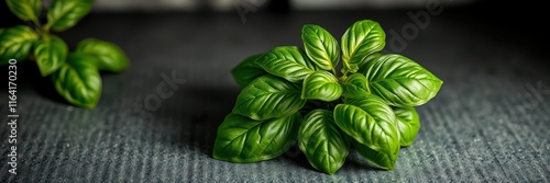 Fresh basil leaves arranged on a rustic surface for culinary use and decoration photo