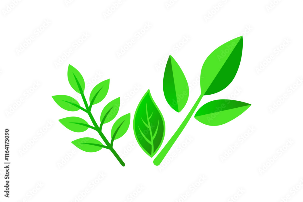 Fototapeta premium Leaves Icon - Vector Stock Illustration. Leaf Shapes Collection