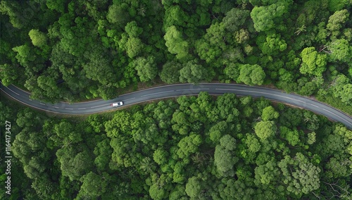 Eco-Friendly Electric Vehicle on Scenic Forest Road - Green Mobility for a Sustainable Future