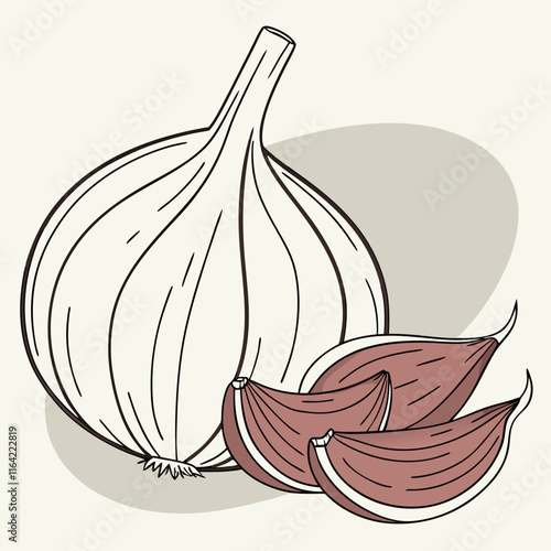 illustration of garlic