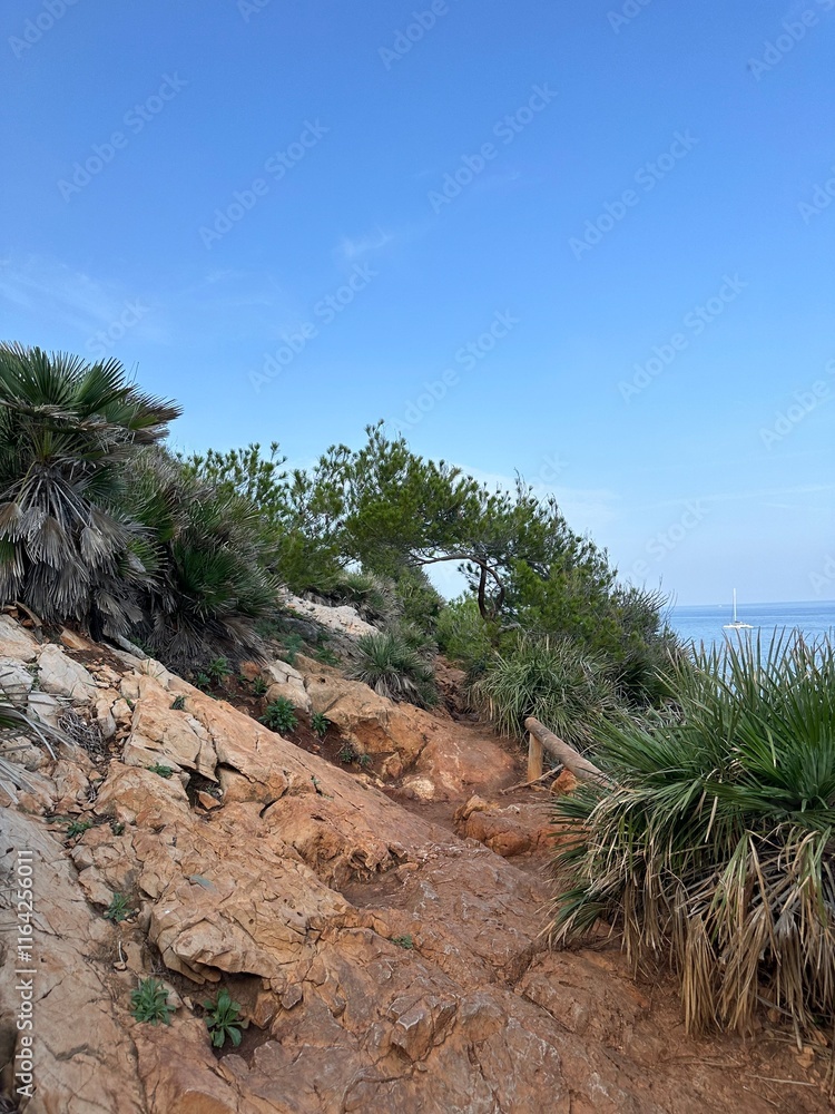 Fototapeta premium trees on the beach