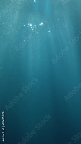 Vertical slow-motion footage of underwater god rays piercing the ocean surface, with enchanting beams of light flickering. Ideal VFX background for diving, snorkeling, and summer adventures
