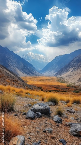Majestic valley landscape under dramatic clouds in the desert