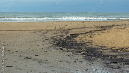 Fuel oil spill in the Kerch Strait. An ecological disaster that led to water pollution in the Black Sea and the death of animals. Pollution of nature. Fuel oil on the beach as a result of the spill. photo