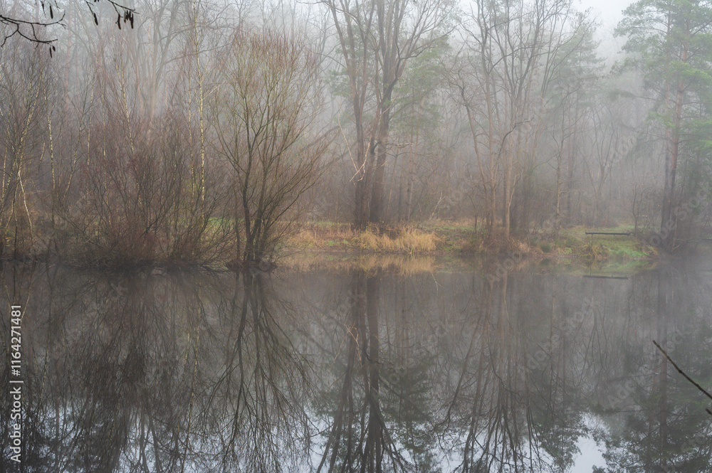 Fototapeta premium Celle, 02.01.2025