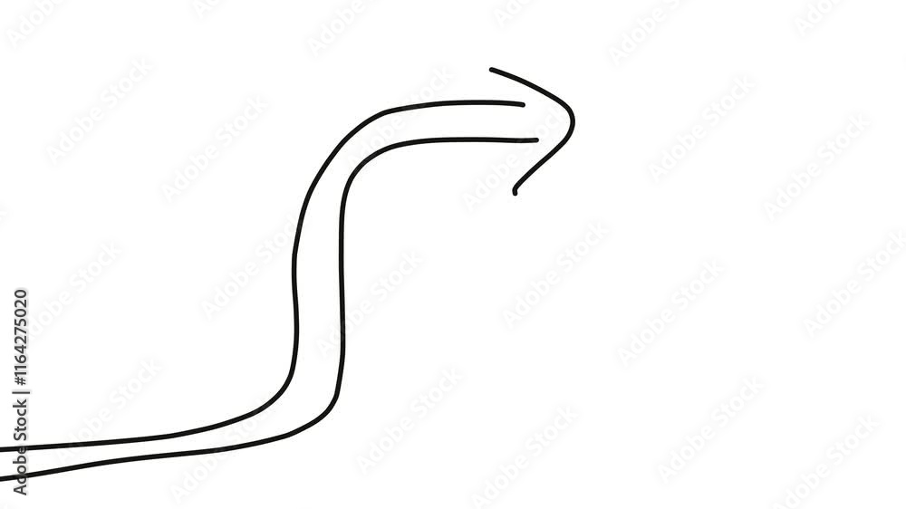 hand-drawn curve arrow animation on white background video hand-drawn curve arrow animation on white background video