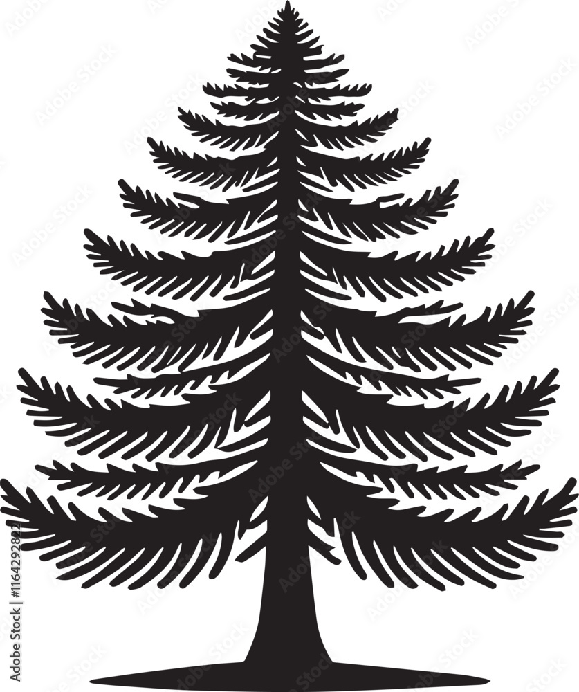 Fototapeta premium pine silhouette