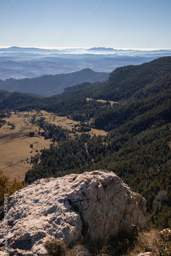 Fototapeta premium Rocky Cliff Overlooking Forest Valley