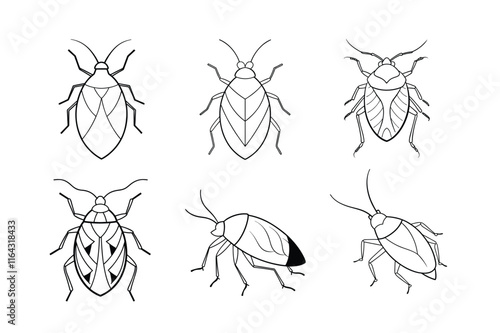 Shield Bug (Pentatomoidea) silhouette design, labeled line art vector illustration.