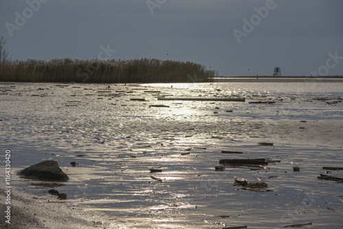 
The shore of a shallow body of water with reeds, on the surface of which floating fragments of wood and stones, illuminated by the low sun. photo