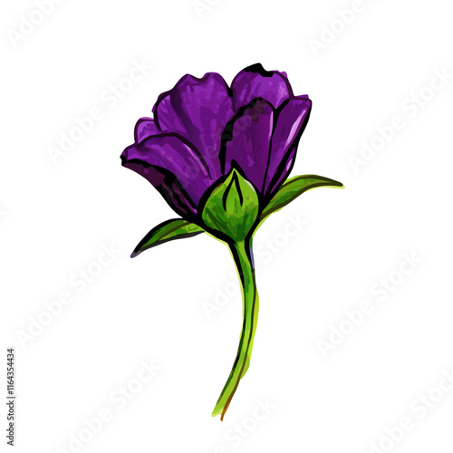 Abstract Flower Element Purple Green Watercolor vector illustration (7)