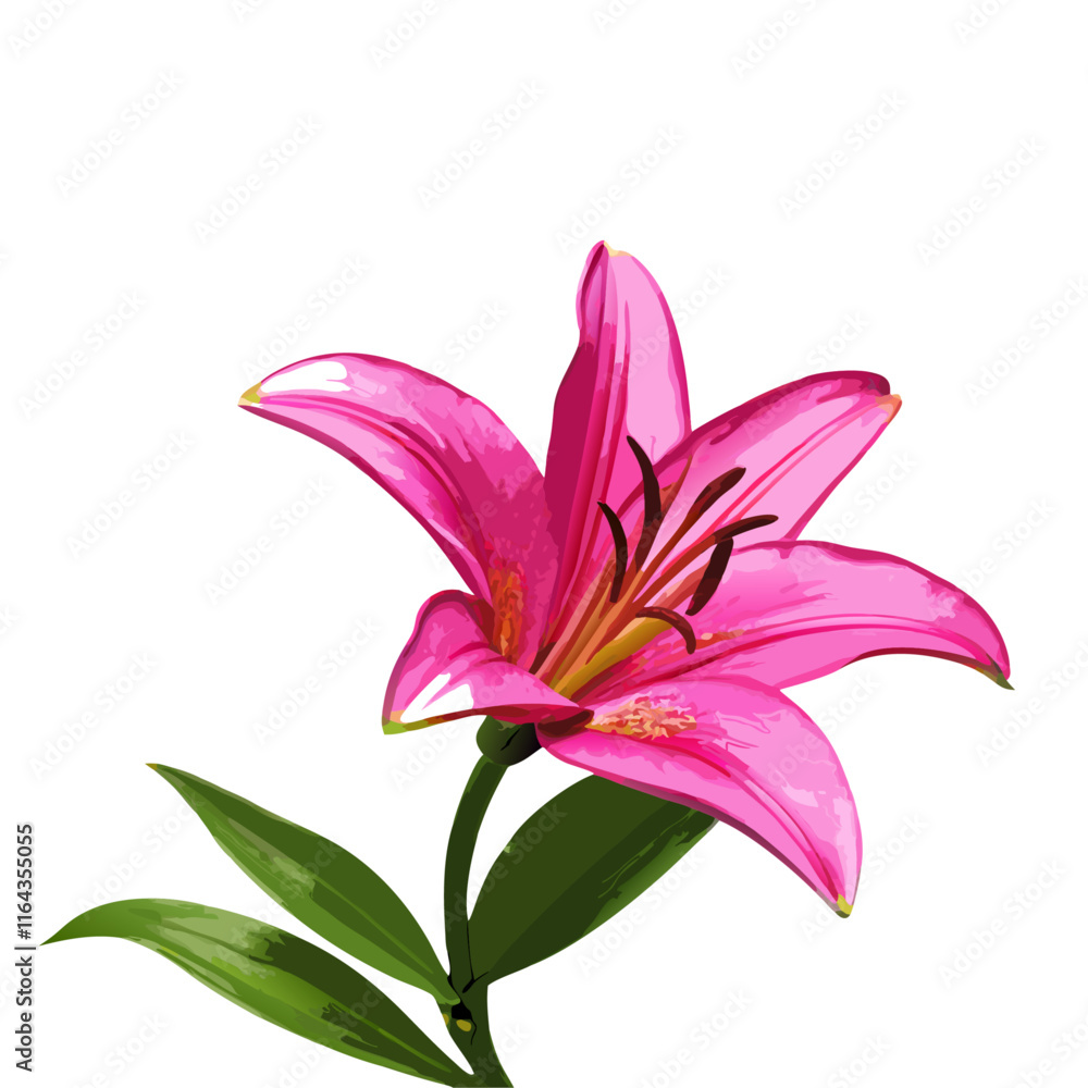 Naklejka premium Beautiful pink lily flower isolated vector illustration (1)