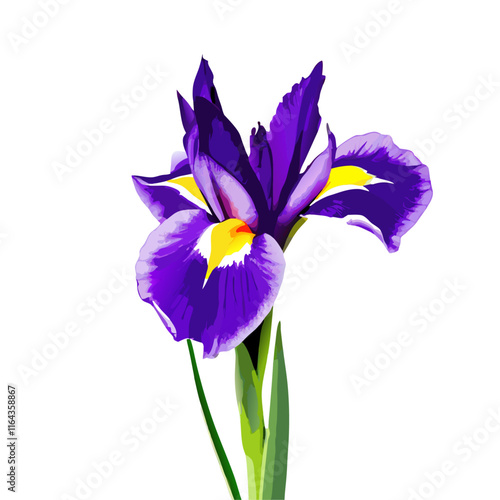 Side view of dark purple color iris flower vector illustration (6)