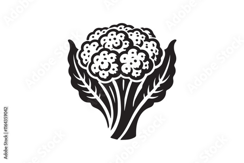 simple and unobtrusive cauliflower vector silhouette illustration isolated in white background
