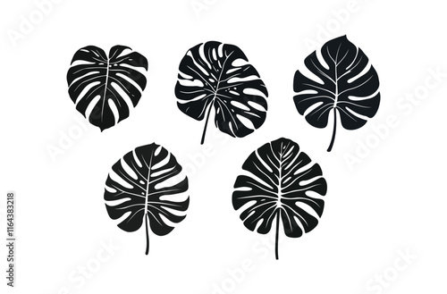 set of silhouettes of leaves