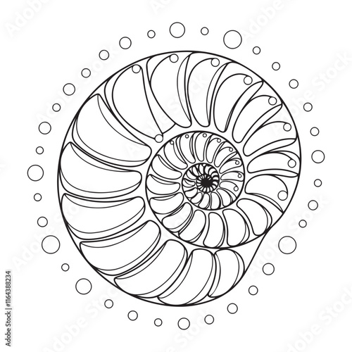 shell coloring page design clear background, mandalas design, and print design
