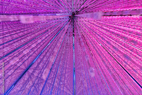 Tokio, Japan. - 1.November 2024: Abstract image of a colorful light installation in TeamLab Tokyo