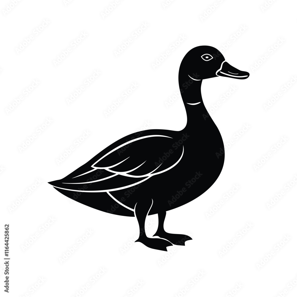 duck isolated on white background duck isolated on white background