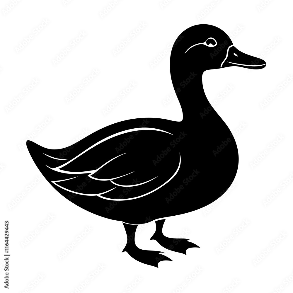 Duck Silhouette vector illustration Duck Silhouette vector illustration