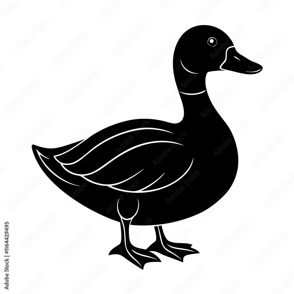 Duck Silhouette vector illustration Duck Silhouette vector illustration